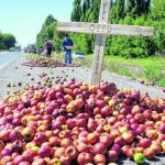 Zanardi: “La fruticultura no tiene rentabilidad y desde el Gobierno Nacional no hay políticas favorables para modificarla”