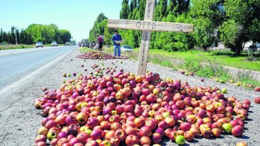 Zanardi: “La fruticultura no tiene rentabilidad y desde el Gobierno Nacional no hay políticas favorables para modificarla”