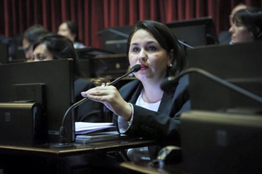 Ana Almirón: “El Presidente con el veto de la ley tendrá que rendirle cuentas a cada uno de los Argentinos”