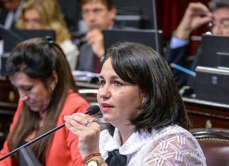 Ana Almirón: “El Senado tiene que escuchar lo que ocurrió en las calles con el movimiento de mujeres”