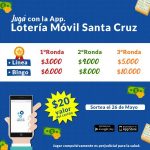 El próximo martes sortea el Bingo Móvil y ya se puede jugar desde el celular