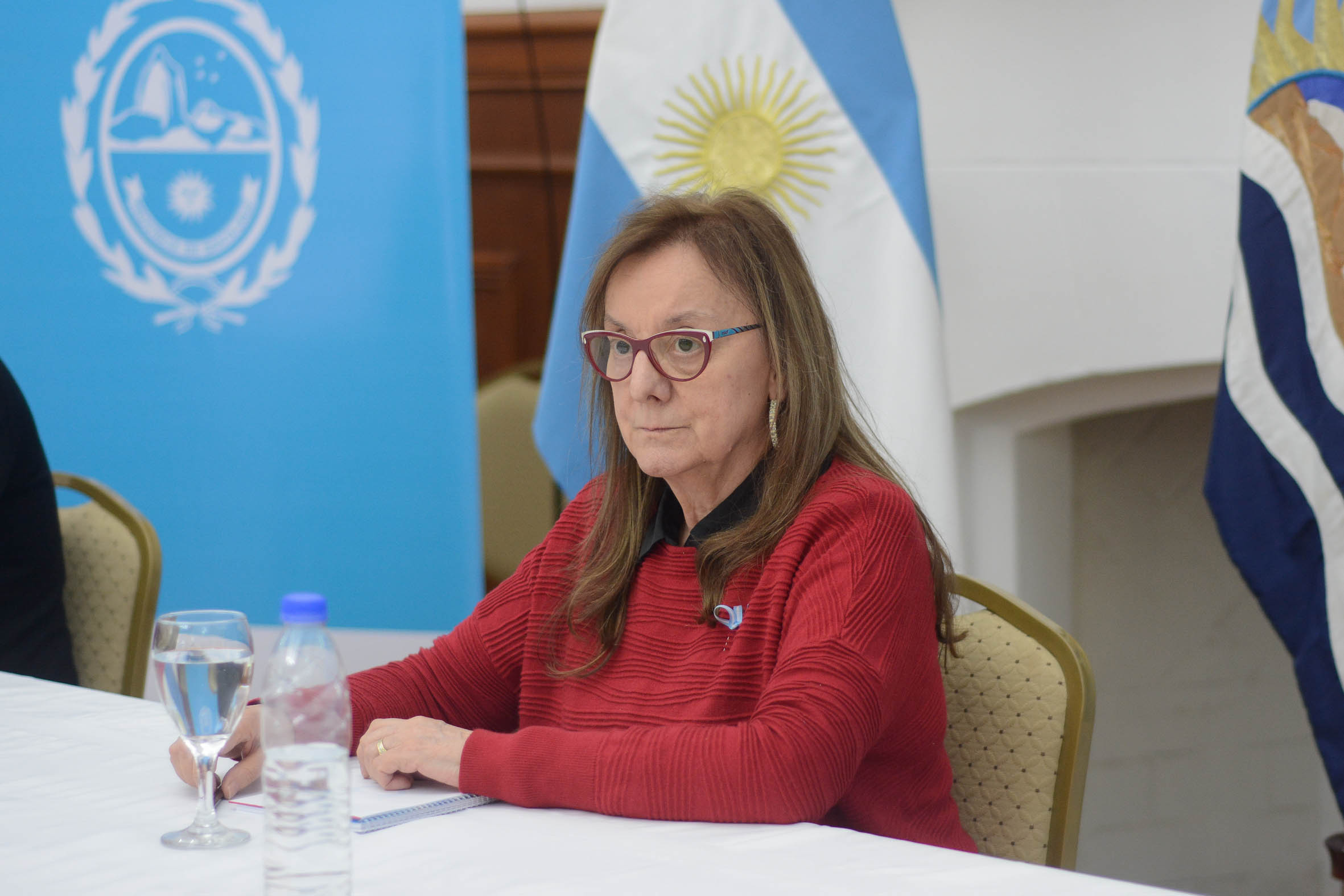 Alicia participó de la reunión del COE con representantes de los poderes legislativo y judicial