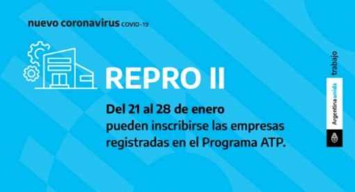 Convocatoria para el Programa de asistencia económica REPRO II