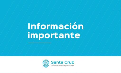 Influenza Aviar: Estas son algunas de las recomendaciones