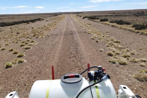 Control de la tucura sapo: Jornada clave para frenar su avance y proteger los campos de Santa Cruz