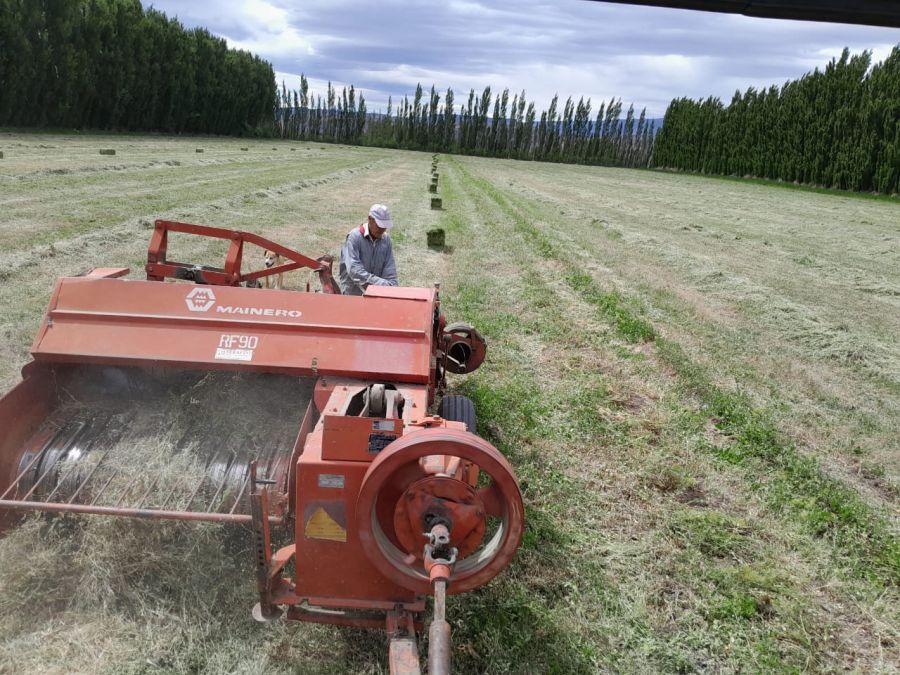 Importante inversión del Consejo Agrario Provincial para el desarrollo agrícola en Santa Cruz