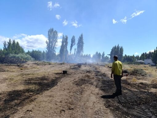 Controlaron incendio en la Reserva Urbana Laguna de Los Juncos de Los Antiguos