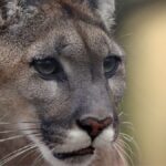 Santa Cruz pone en el centro a la ciencia para proteger su biodiversidad