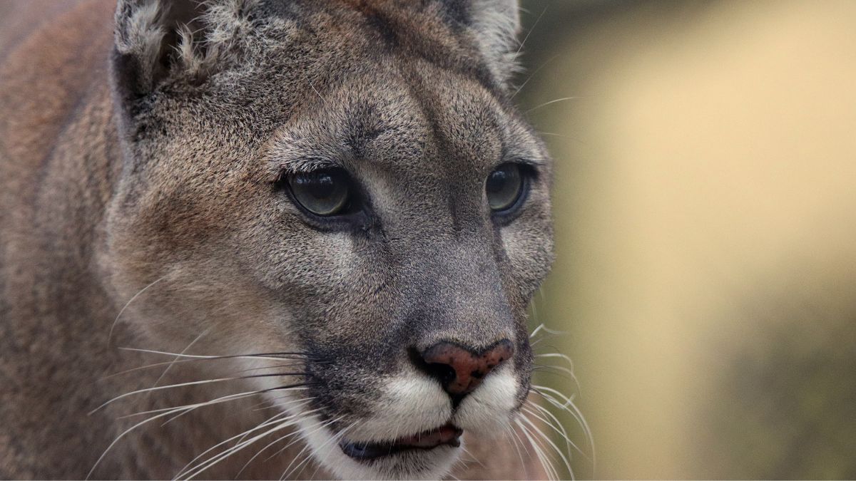 Santa Cruz pone en el centro a la ciencia para proteger su biodiversidad