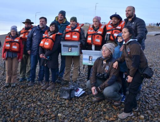 Regresaron al río Santa Cruz los primeros Macá tobiano criados en cautiverio