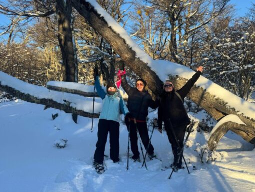 Invierno en Río Turbio con nieve, bosque y aventura