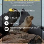 Ambiente y CADACE conmemorarán el Día Internacional Libre de Bolsas de Plástico