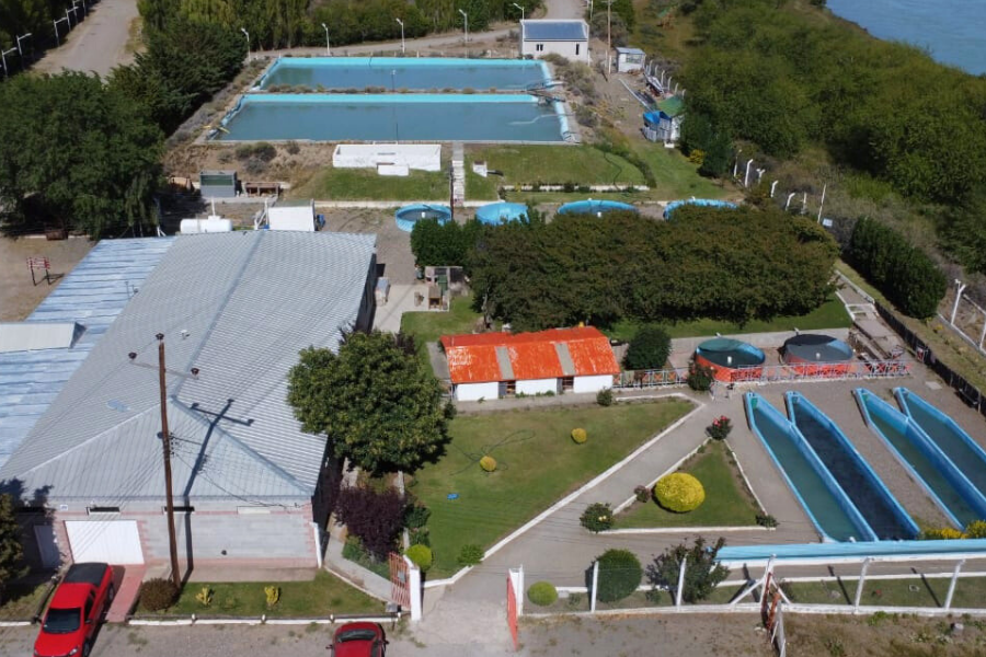 Santa Cruz calificó para ser auditada por organismos internacionales en acuicultura