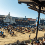 Santa Cruz no tendrá ovinos en la Expo Rural: fuerte señal del sector frente al conflicto por la barrera sanitaria