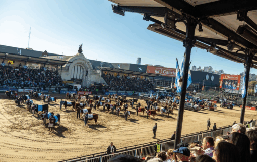 Santa Cruz no tendrá ovinos en la Expo Rural: fuerte señal del sector frente al conflicto por la barrera sanitaria