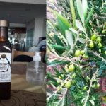 Hicieron historia con el primer aceite de oliva de Puerto Deseado