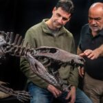 El “cocodrilo del viento”: un nuevo hallazgo paleontológico en Santa Cruz