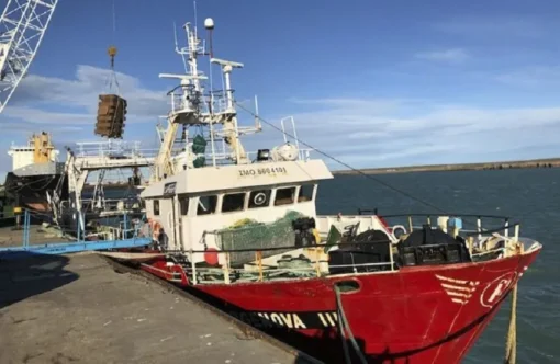 Aravena: “Hace 15 o 20 años que no se hacían chequeos médicos a trabajadores portuarios”