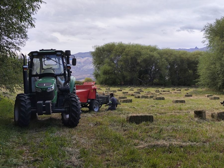 Suárez: “Queremos recuperar la tradición productiva de Santa Cruz”