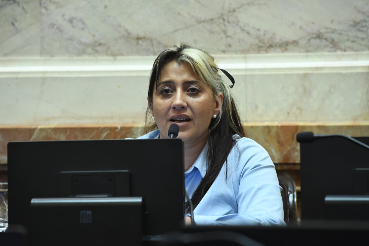 Gadano: “Si hay un sector que más necesita del Estado es la discapacidad”