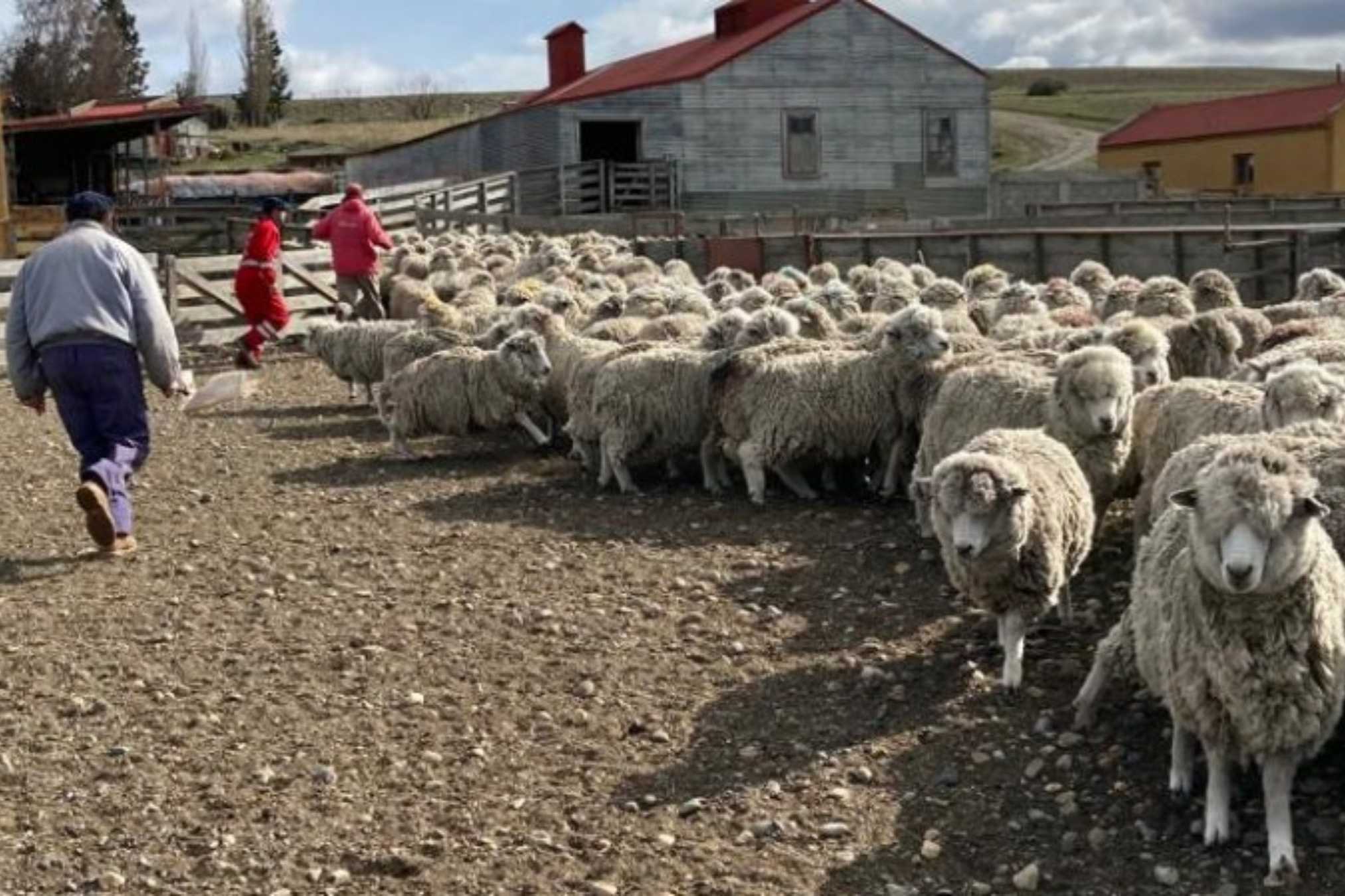 RENATRE fiscalizó 23 estancias en Santa Cruz y detectó casos de trabajadores sin registrar