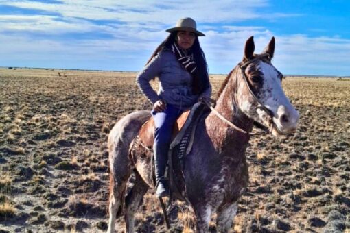 Entre ovejas y señaladas, la vida rural de Mariela Guenchumán