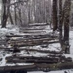 El Consejo Agrario Provincial recordó que la extracción de leña requiere autorización