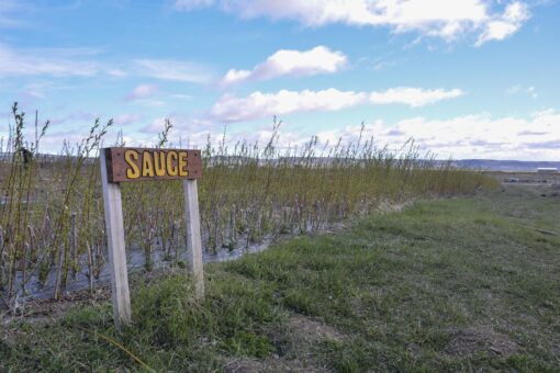 Ayelén Alberti: “Tenemos que hacernos responsables del cuidado del bosque”