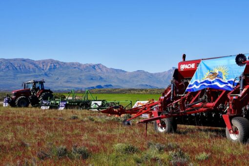 Santa Cruz fortalece la producción de granos con proyección de expansión en 2026