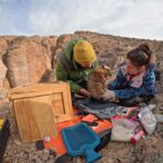 Sofía Ocampo: “Cada especie cumple un rol y cuando falta, el sistema pierde equilibrio”