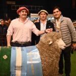 Genética ovina santacruceña: “Detrás de un gran campeón hay años de trabajo, ciencia y pasión”